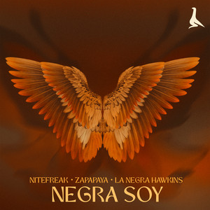 Negra Soy release cover artwork